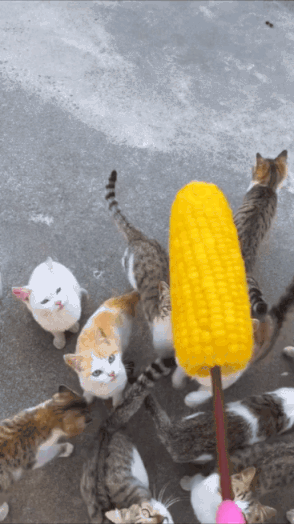 3DM����һ�̵�1684�� ��������Ԩ��ԨҲ��������