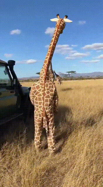 3DM����һ�̵�1684�� ��������Ԩ��ԨҲ��������