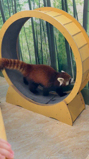 3DM����һ�̵�1684�� ��������Ԩ��ԨҲ��������