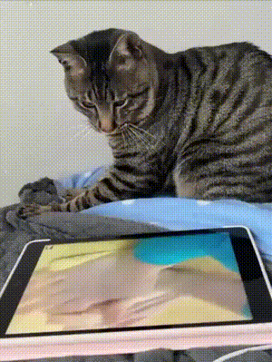 3DM轻松一刻第1684期 你凝视深渊深渊也在凝视你