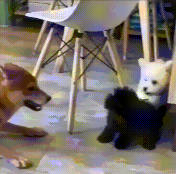 3DM����һ�̵�1684�� ��������Ԩ��ԨҲ��������