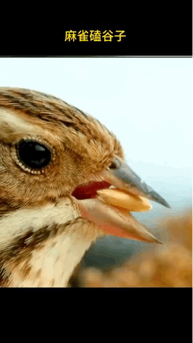 3DM轻松一刻第1684期 你凝视深渊深渊也在凝视你