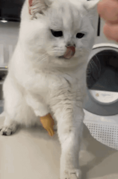 3DM����һ�̵�1685�� �����������Ů����ˮ��