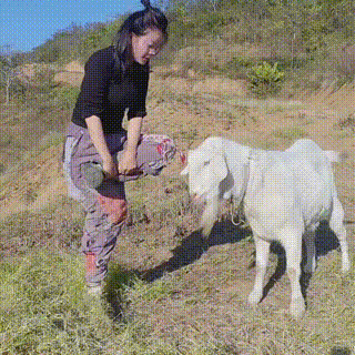 3DM轻松一刻第1733期 羡慕狗子趴在美女胸前！