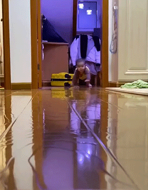 3DM轻松一刻第1734期 给猫猫穿瑜伽裤让人笑不停