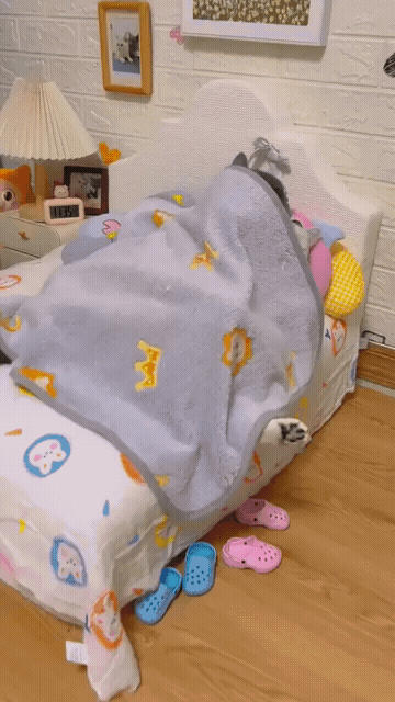 周一内涵囧图云飞系列 要想身材好健身器材少不了