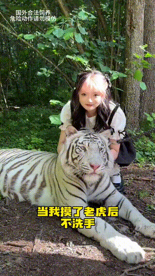 周五福利囧图云飞系列 美女一言不合就表演一字马