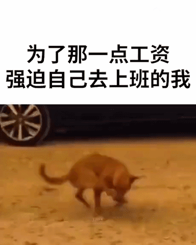周一內(nèi)涵囧圖云飛系列 大美女穿緊身衣是絕好的！