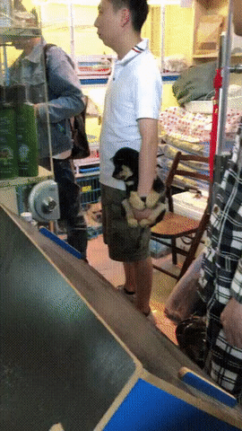 周一内涵囧图云飞系列 大美女穿紧身衣是绝好的！