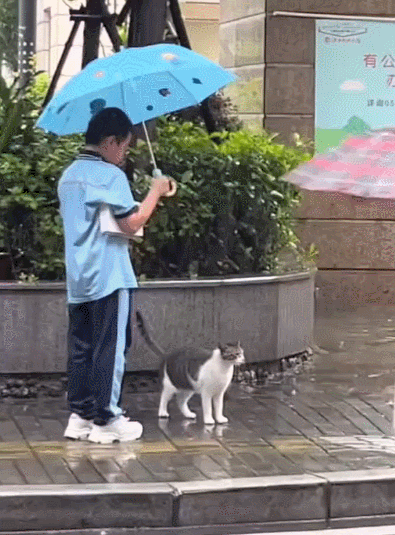 周一内涵囧图云飞系列 美女这舞蹈层次感很好！