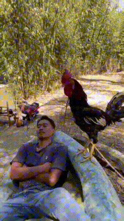 周五福利囧图云飞系列 妹子黑白配让人眼花缭乱啊