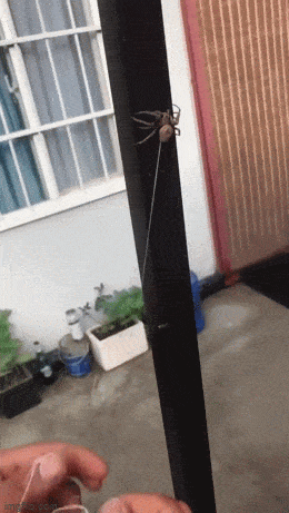 周五福利囧图云飞系列 妹子黑白配让人眼花缭乱啊