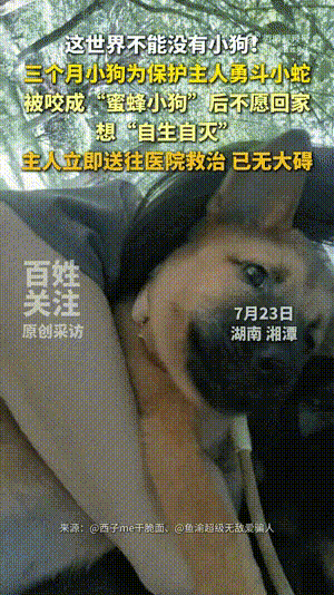 周五福利囧图云飞系列 妹子黑白配让人眼花缭乱啊