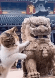 3DM轻松一刻第1768期 如何判断自己是不是NPC
