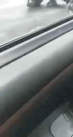 3DM轻松一刻第1771期 好利来多年来坚持只用真奶