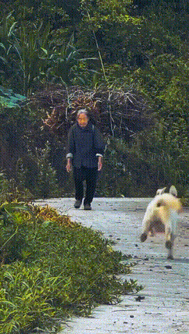3DM轻松一刻第1773期 大长腿秘书上班轻松翘腿