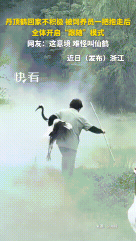 3DM轻松一刻第1773期 大长腿秘书上班轻松翘腿