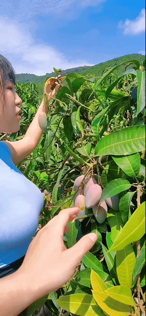 3DM轻松一刻第1778期 能被牛来驱逐的不是良币