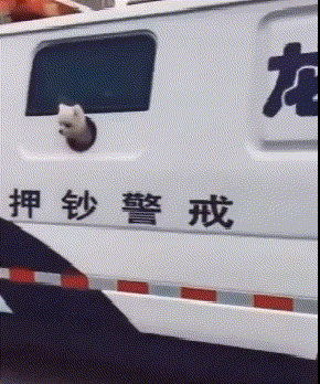 3DM轻松一刻第1774期 商务KTV中的掉价行为是？