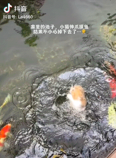 3DM轻松一刻第1777期 什么叫老天爷追着喂饭吃？