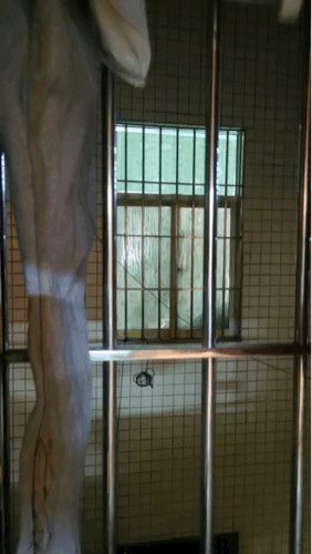 周五福利囧图云飞系列 妹子落水了还不快去帮忙