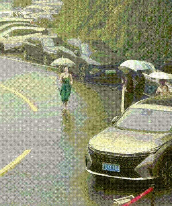 3DM轻松一刻第1780期 永远不要低估人类的好奇心