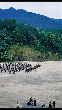3DM轻松一刻第1780期 永远不要低估人类的好奇心