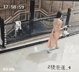 3DM轻松一刻第1785期 后背纹上喜欢人家老婆？