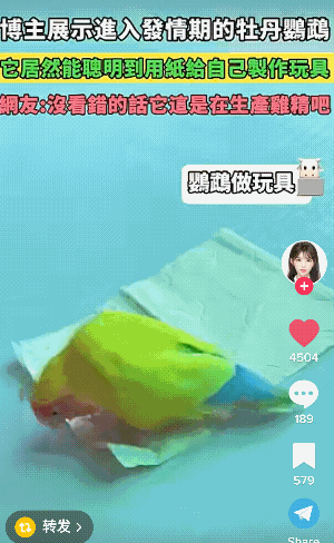 3DM轻松一刻第1787期 网友问百度为何越来越垃圾