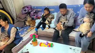 3DM轻松一刻第1795期 香奈儿的泳衣不能泡水！