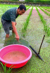 轻松一刻第1797期 黑白丝配就是古人所说太极