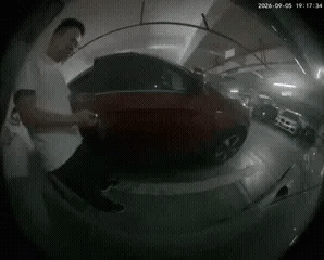 3DM轻松一刻第1798期 怎么做正经工作也会屁股痛
