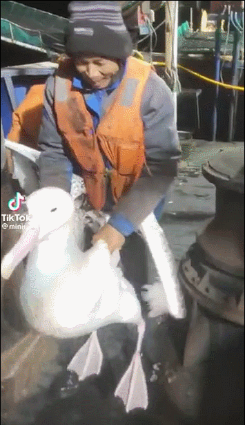 3DM轻松一刻第1799期 五种不同打码方式你都见过吧