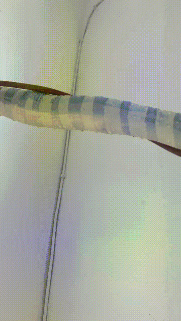 3DM輕松一刻第1513期 看得出來姑娘潛力還比較大