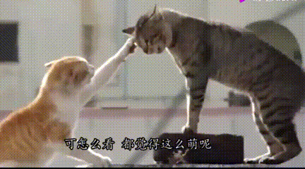 3DMһ̵1527 ξŮǳ
