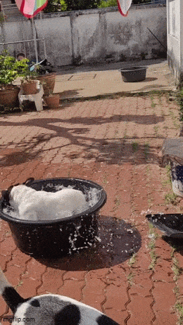 3DMһ̵1588 볢Ͽںζ