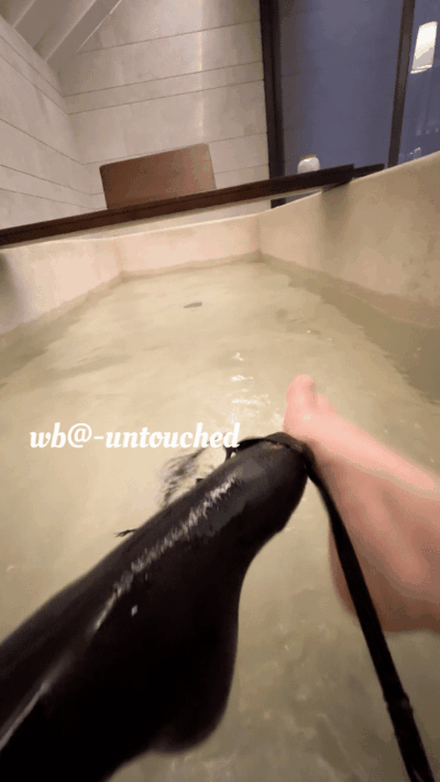 周五福利囧图云飞系列 体育老师也过不了美人关！