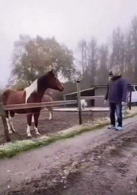 3DM����һ�̵�1609�� �������Ӱ������ȥ�أ�