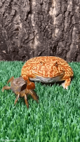 轻松一刻第1609期 妹子你的影子跑哪去呢？