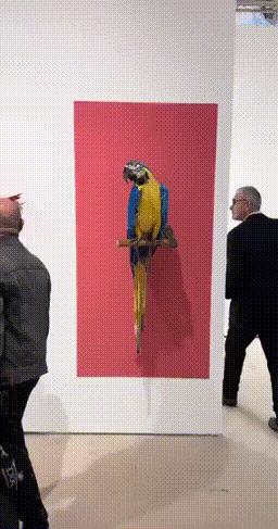 3DM����һ�̵�1609�� �������Ӱ������ȥ�أ�