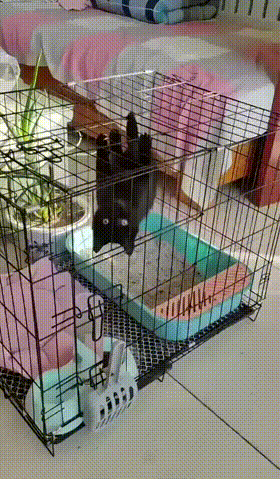 3DM����һ�̵�1613�� ����Ů���ֱ���Ҫע��ʲô