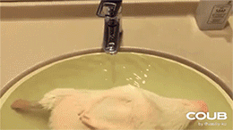 3DM����һ�̵�1612�� ��Ů���Ѵ������Ӷ�ĥ����