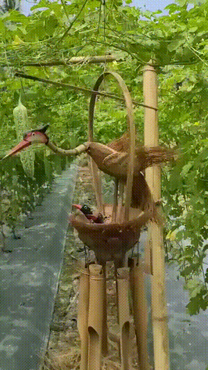 3DM����һ�̵�1613�� ����Ů���ֱ���Ҫע��ʲô