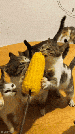 3DM����һ�̵�1611�� ��������Ƶ����ڶ���ʲô