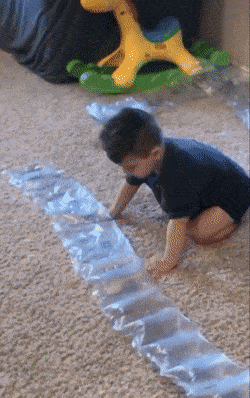 3DM����һ�̵�1613�� ����Ů���ֱ���Ҫע��ʲô