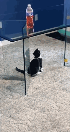 3DM����һ�̵�1612�� ��Ů���Ѵ������Ӷ�ĥ����