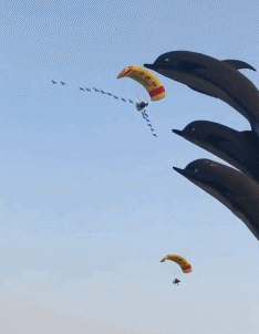 3DM����һ�̵�1613�� ����Ů���ֱ���Ҫע��ʲô