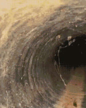 3DM����һ�̵�1612�� ��Ů���Ѵ������Ӷ�ĥ����