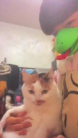 3DM����һ�̵�1612�� ��Ů���Ѵ������Ӷ�ĥ����