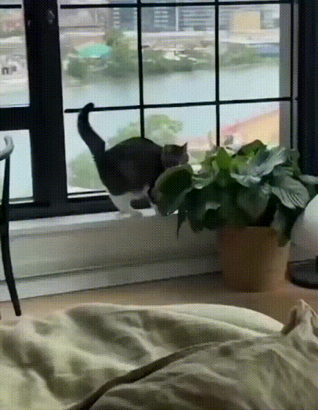 3DM����һ�̵�1613�� ����Ů���ֱ���Ҫע��ʲô